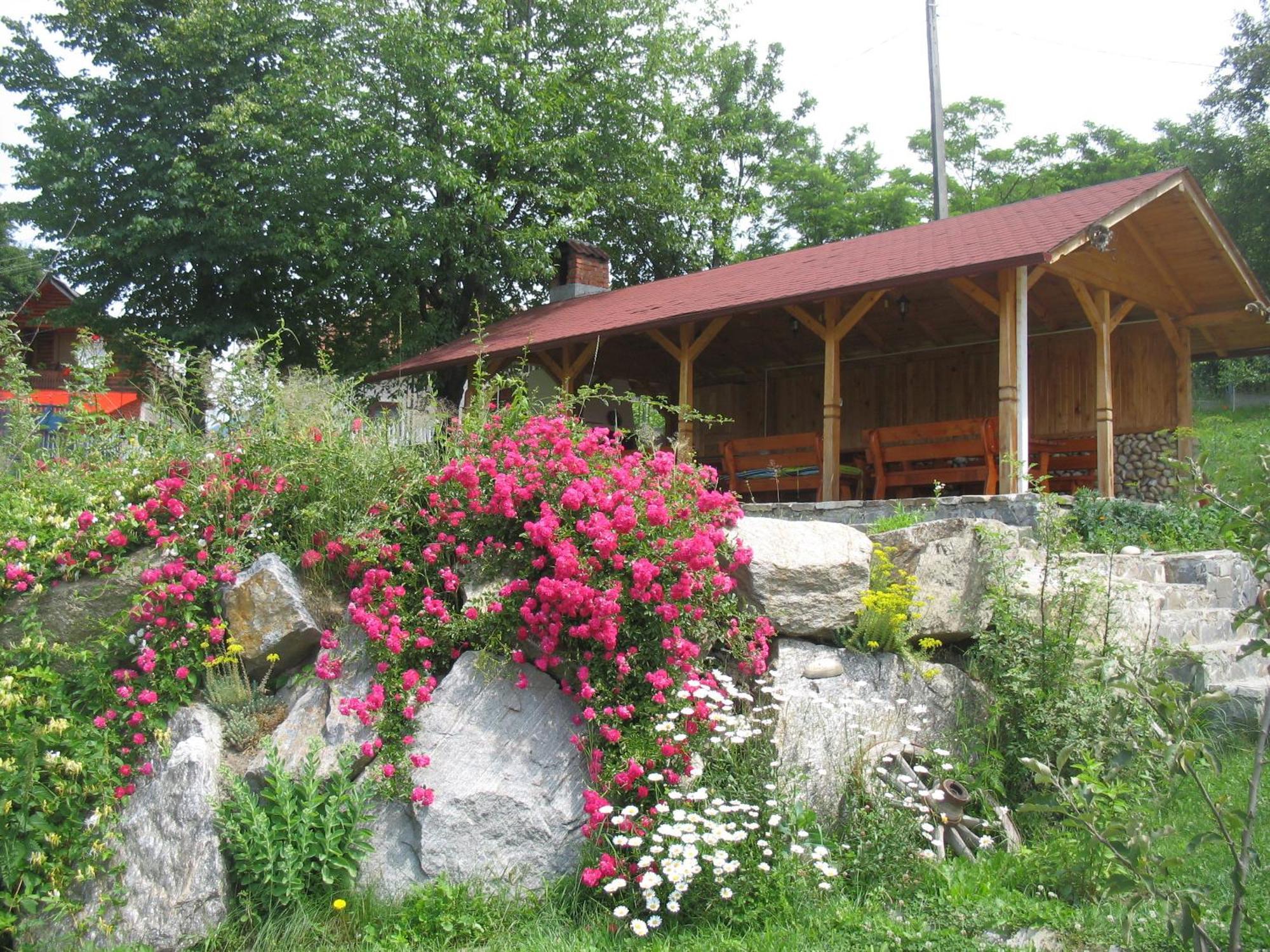 Hotel Pension Irina Arefu Esterno foto