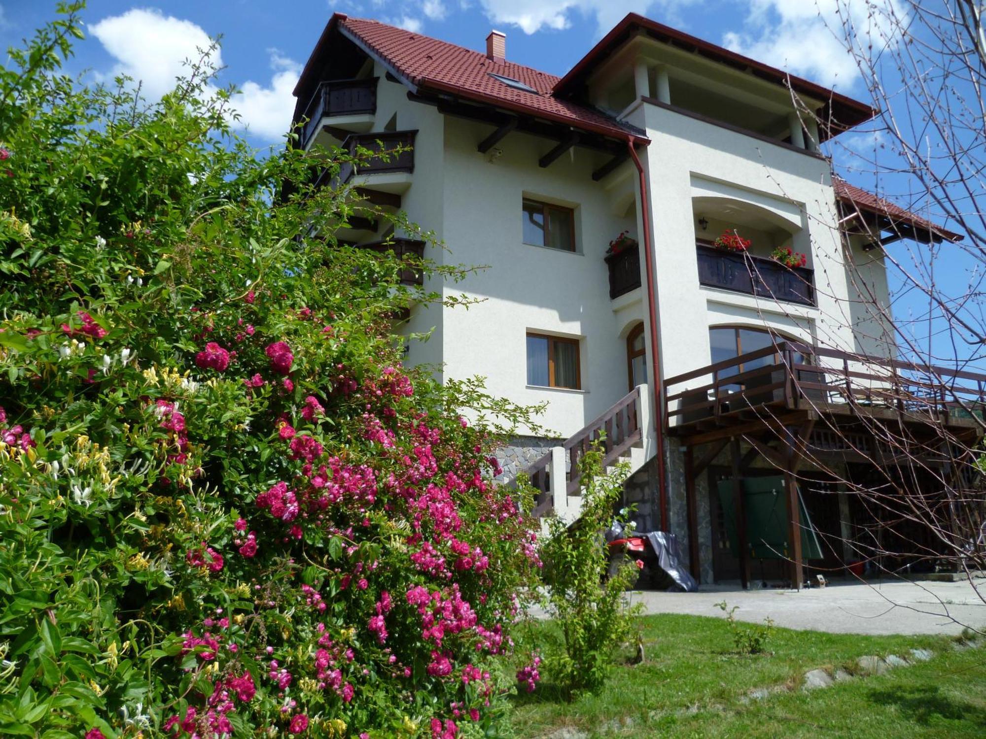 Hotel Pension Irina Arefu Esterno foto